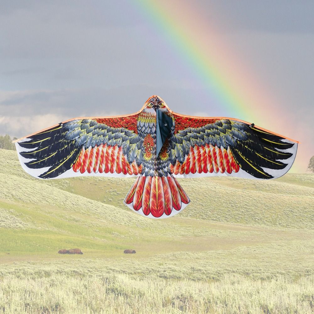 1.1m Eagle Kite With 30m Kite  – обзор и цена Fly Line